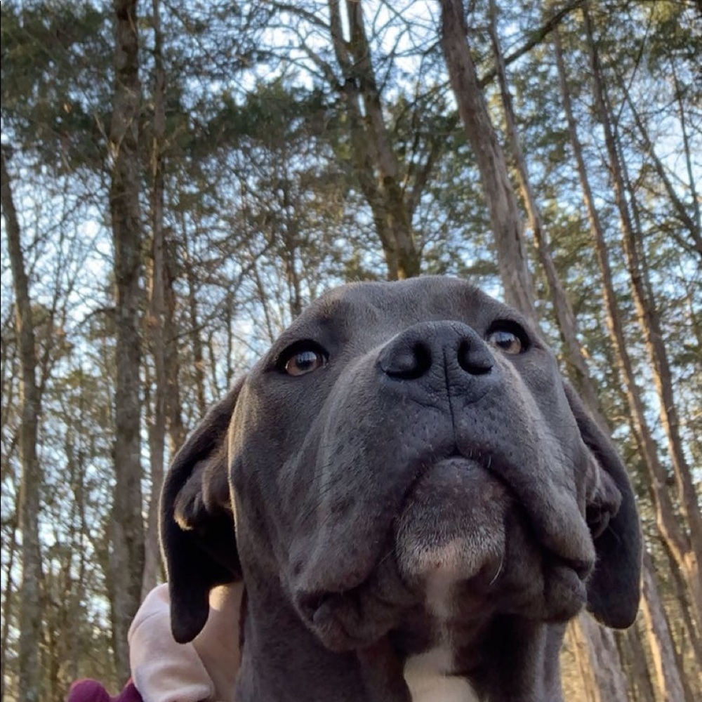 Meet your Posher, Gianna